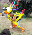 Pret-Spel Paradijselijke vogel